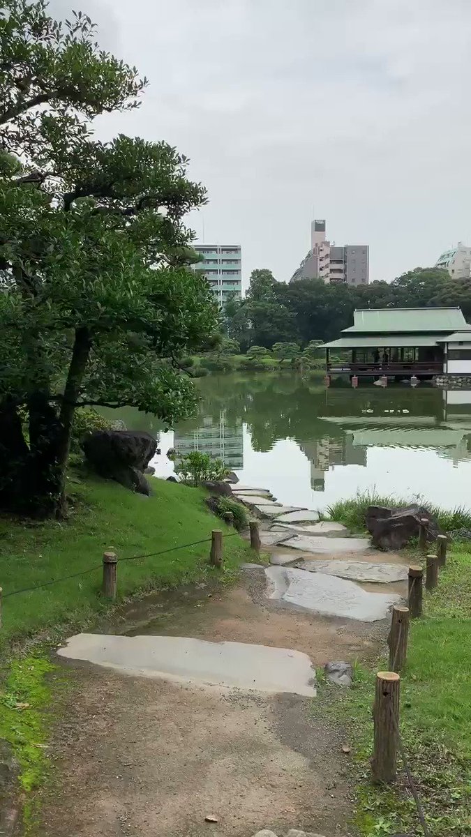 Beautiful Tokyo ????❤️ https://t.co/QlaA6FIgk8