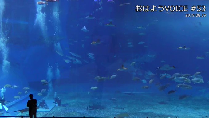 おう!おはメール💪🏽😎👍🏽すっかりタイミング逃してるが💥ダンベル何キロ持てる?見始めた💥トレ中ずっとOPが頭の中で流れて おう!おはメール💪🏽😎👍🏽すっかりタイミング逃してるが💥ダンベル何キロ持てる?見始めた💥トレ中ずっとOPが頭の中で流れて