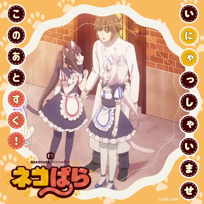 /📢(ΦωΦ){ #ネコぱら✨TOKYO MX📺このあとすぐ⏳\🐈━━━━━━━━━🐈 第①話ようこそ、ラ・ソレ /📢(ΦωΦ){ #ネコぱら✨TOKYO MX📺このあとすぐ⏳\🐈━━━━━━━━━🐈 第①話ようこそ、ラ・ソレ