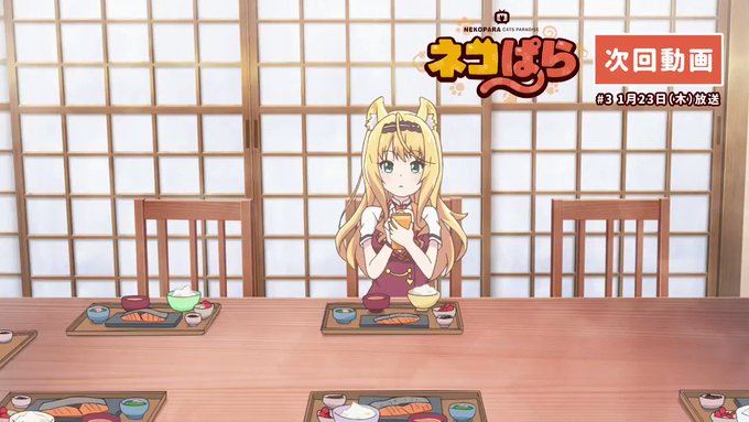 /📢(ΦωΦ){ #ネコぱら✨次回動画📺公開\今週もチラ見せ動画公開です(*」´□`)」📣💬🐈━━━━━━━━━🐈 |ω /📢(ΦωΦ){ #ネコぱら✨次回動画📺公開\今週もチラ見せ動画公開です(*」´□`)」📣💬🐈━━━━━━━━━🐈 |ω