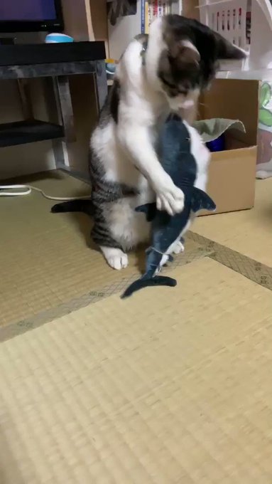 マナリアフレンズ面白いなぁ マナリアフレンズ面白いなぁ