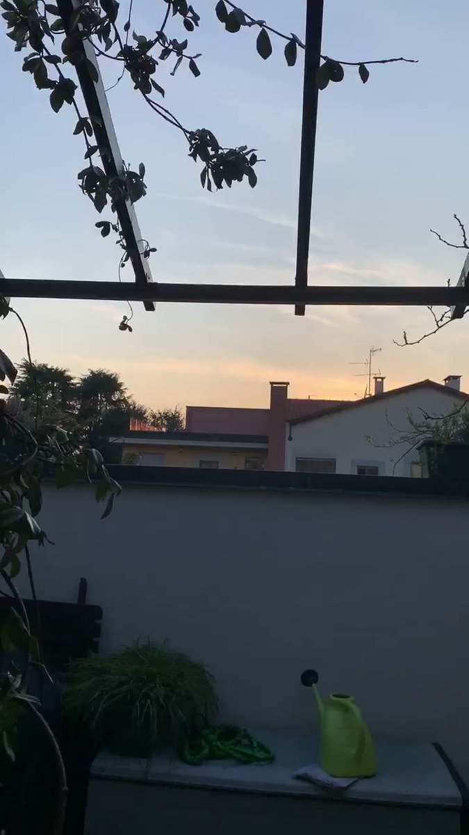 あなたが空しく生きた今日は 昨日死んでいった人が あれほど生きたいと願った明日 By カシコギ 美術芸術をこよなく愛し 働き者で博学で お茶目でお洒落な最愛の父が3月27日永眠いたしました コロナウイルスで帰国できず最愛の父の最