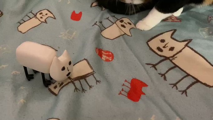 続けて江口先生からこんな動画が送られてきました(笑)。「なお例のアレを飼い猫に見せた時の反応がこちらです」(江口) #家 続けて江口先生からこんな動画が送られてきました(笑)。「なお例のアレを飼い猫に見せた時の反応がこちらです」(江口) #家