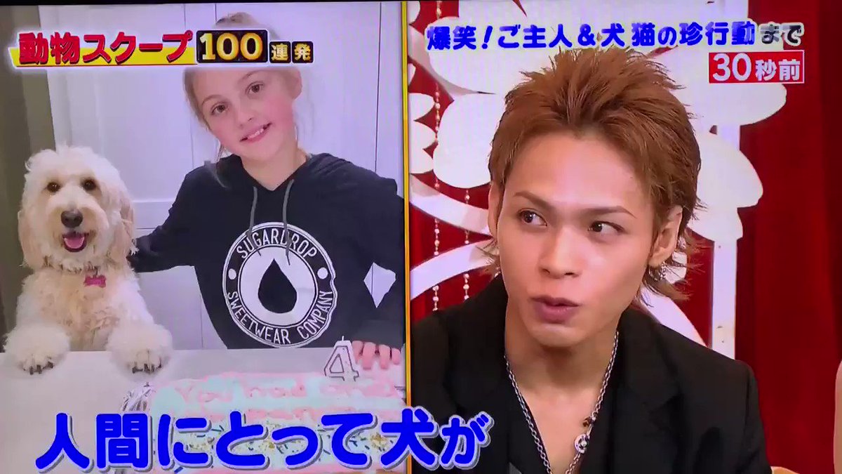せふぃろと Sephirotfou 上田竜也 の検索結果 ツイセーブ