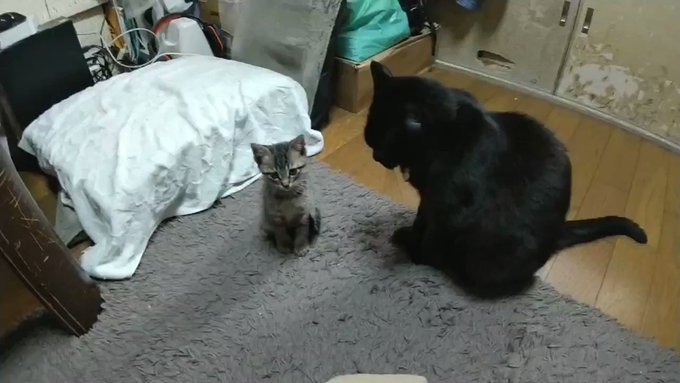 甘々と稲妻 甘々と稲妻