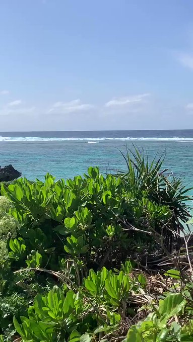 想い旅#Island yoron #JAPAN 🏝 🌺🐉🦦 想い旅#Island yoron #JAPAN 🏝 🌺🐉🦦