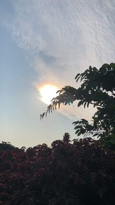 与論島の朝🚶♂️AM7:07#イマソラ#Island yoron #JAPAN 🐉 与論島の朝🚶♂️AM7:07#イマソラ#Island yoron #JAPAN 🐉