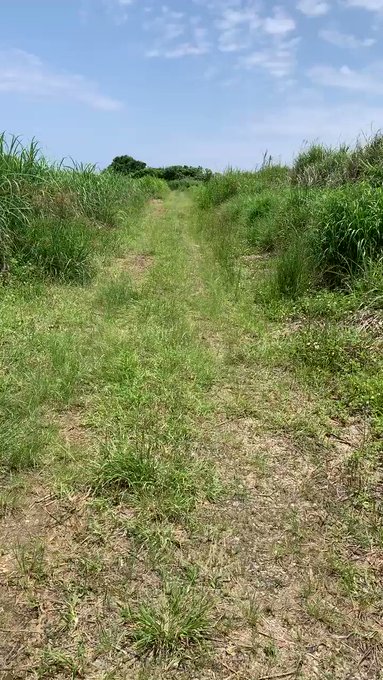 与論島のお昼時#イマソラ🚶♂️#Island yoron #JAPAN 与論島のお昼時#イマソラ🚶♂️#Island yoron #JAPAN
