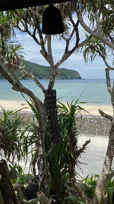 耳をすませば夏の風。 耳をすませば夏の風。