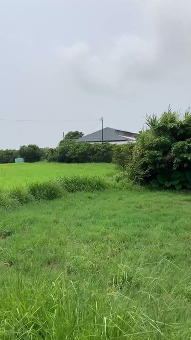 与論島の暮らし🙄意外と、食には困らないただ観光関係の店が無いとオシャレな外食は出来ない慣れたリピーターはこちら、のような 与論島の暮らし🙄意外と、食には困らないただ観光関係の店が無いとオシャレな外食は出来ない慣れたリピーターはこちら、のような