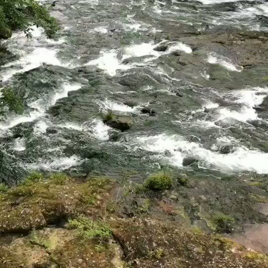 竜頭ノ滝(リュウズノタキ)湯川が中禅寺湖に流れる前にあります。長さ210mにわたり流れ落ち、滝壺が岩により二分され、竜の 竜頭ノ滝(リュウズノタキ)湯川が中禅寺湖に流れる前にあります。長さ210mにわたり流れ落ち、滝壺が岩により二分され、竜の