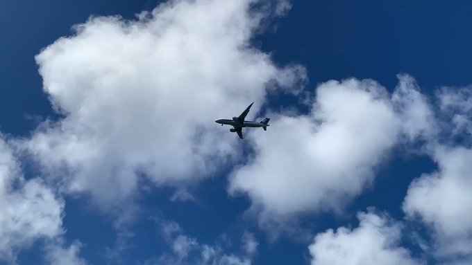 夏空と飛行機#八丈島 #風景 #ana #夏 #夏空 #雲 #飛行機 #hacijo #japan #island #t 夏空と飛行機#八丈島 #風景 #ana #夏 #夏空 #雲 #飛行機 #hacijo #japan #island #t
