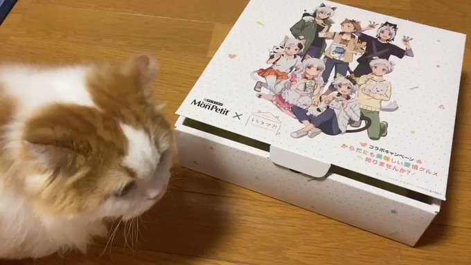 ぼく、おかきこれぼくの〜?#モンプチ と #うちタマ ?!コラボキャンペーンに当選しました🌸ありがとうございます🥰まだ成 ぼく、おかきこれぼくの〜?#モンプチ と #うちタマ ?!コラボキャンペーンに当選しました🌸ありがとうございます🥰まだ成