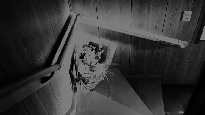 One Room / 492日常を紙切れに一筆認めました。僕は今4.92帖のワンルームに住んでおり、名前の由来にもなって One Room / 492日常を紙切れに一筆認めました。僕は今4.92帖のワンルームに住んでおり、名前の由来にもなって