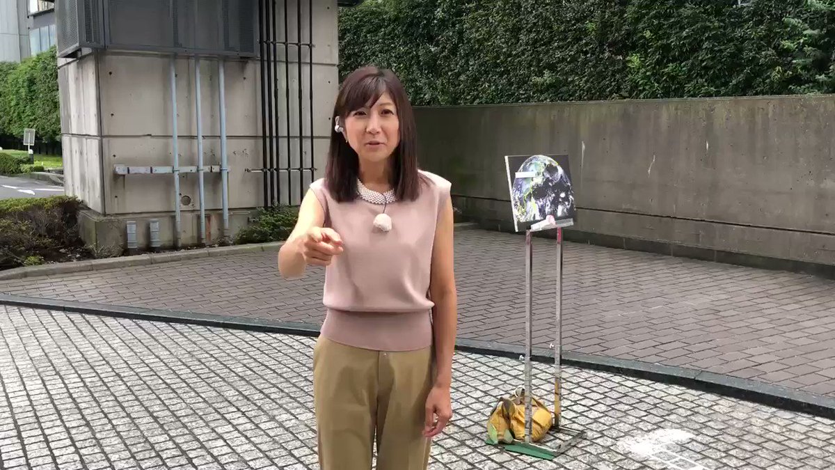 根本 美緒 株式会社 三桂