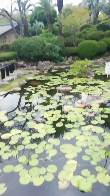 とりあえず鬼灯の冷徹流れてテンションアップした私がこちらです← とりあえず鬼灯の冷徹流れてテンションアップした私がこちらです←