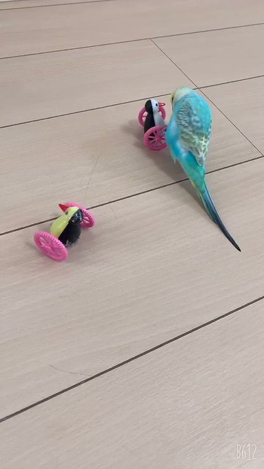 遊びの合間にルル子も満足させるその師匠のスタンス好きよ 遊びの合間にルル子も満足させるその師匠のスタンス好きよ