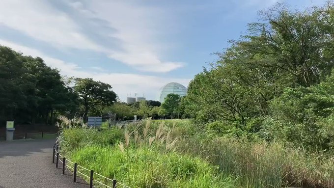 【YouTubeLiveの疑問、お答えします!】Q.「水辺の自然」エリア、昼間でも昆虫などが見られる?A. 展示生物以外 【YouTubeLiveの疑問、お答えします!】Q.「水辺の自然」エリア、昼間でも昆虫などが見られる?A. 展示生物以外