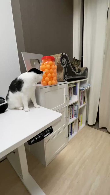 ピンポン玉ダッシュ ピンポン玉ダッシュ