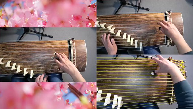 箏三重奏「やさしさに包まれたなら」やっと動画できた…今月は忙しかったなあ…#魔女の宅急便 箏三重奏「やさしさに包まれたなら」やっと動画できた…今月は忙しかったなあ…#魔女の宅急便