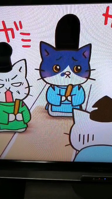 ねこねこ日本史終わってしまったんですね。出演したむぎ(猫)ちゃんです。声もだよ😊 ねこねこ日本史終わってしまったんですね。出演したむぎ(猫)ちゃんです。声もだよ😊