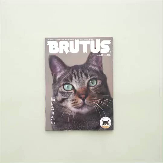 Zenta Nishida Editor In Chief Brutus Anewstip