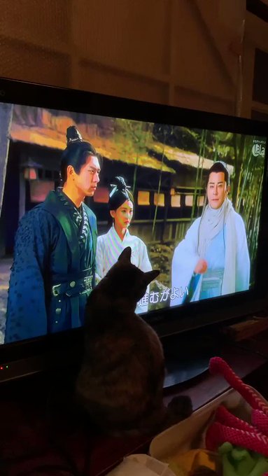 23話目…あらま!😲丁寧は、梁驚夢の生まれ変わりなの?猫ちゃん…本当に邪魔🌀#剣王朝#SwordDynasty#LaLa 23話目…あらま!😲丁寧は、梁驚夢の生まれ変わりなの?猫ちゃん…本当に邪魔🌀#剣王朝#SwordDynasty#LaLa