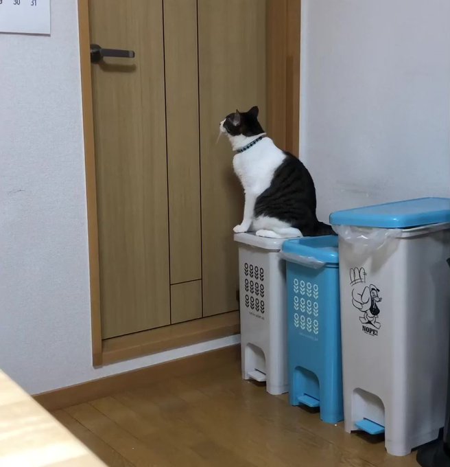 #ルパン三世 #うちの猫にやめて欲しい事ヤツはとんでもないものを盗んでいきました。まさに今、シャワーを浴びているあなたの #ルパン三世 #うちの猫にやめて欲しい事ヤツはとんでもないものを盗んでいきました。まさに今、シャワーを浴びているあなたの