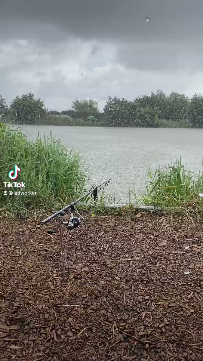 Carp fishing in the rain #carpfishing #rain #fishing #follow #wet #eastcoast <b>Https</b>://t.co/mHR
