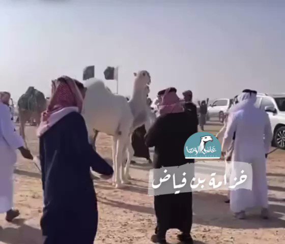 الجلاوي لفا «الجزيرة» أول