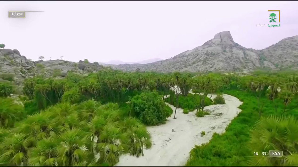 صورة الخبر