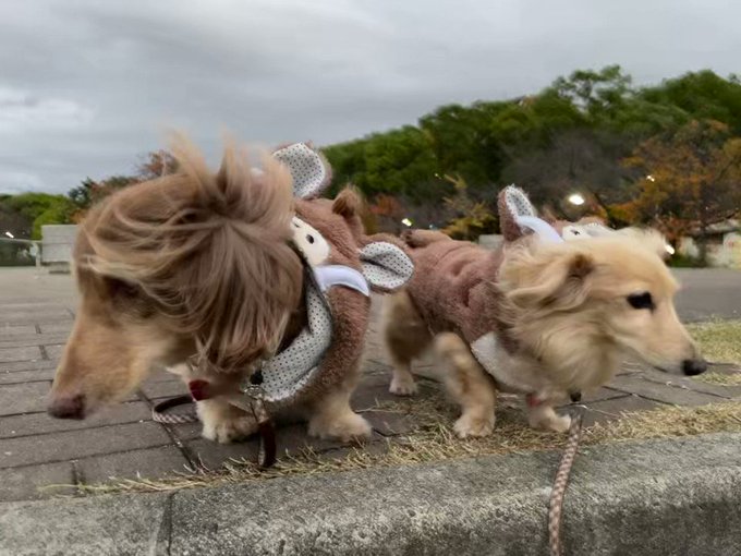 お風つよ〜い🍃 お風つよ〜い🍃