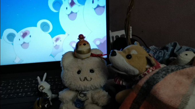 🐱にゃーにゃにゃにゃ にゃーにゃにゃにゃ にゃにゃ~ぁあฅ^•ω•^ฅ🐶仔猫🐱もう寝ような 12時(エジプト時間)だから 🐱にゃーにゃにゃにゃ にゃーにゃにゃにゃ にゃにゃ~ぁあฅ^•ω•^ฅ🐶仔猫🐱もう寝ような 12時(エジプト時間)だから