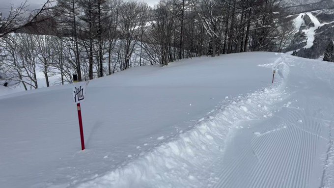 これは池だから行くな!なのか、行け!なのかどちらなんだいカリメロくん これは池だから行くな!なのか、行け!なのかどちらなんだいカリメロくん