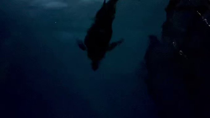 海の魅力をわかってほしい#シーパラ × #SideM でお贈りするスペシャルイルカショー【Legenders】まもなく開 海の魅力をわかってほしい#シーパラ × #SideM でお贈りするスペシャルイルカショー【Legenders】まもなく開