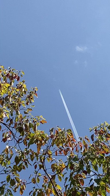  昨日、神戸の楠木正成公のお墓のある湊川神社の空に出た飛行機雲。そう言えば『この世界の片隅に』にも楠木正成公が出てたなぁ