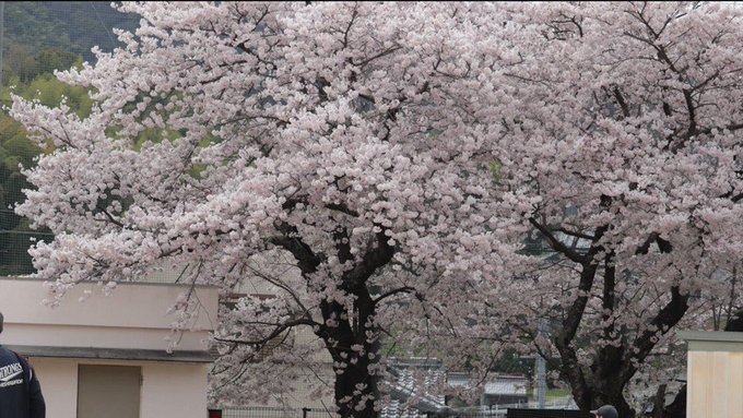 2023.3.25体験会雨のため急遽予定を変更して、修斉小学校にて体験会を開催しました。たくさんのお子様たちが参加してく