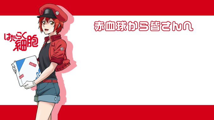 ◤━━━━━━━━━📢赤血球から皆さんへ━━━━━━━━━━◢おはようございます☀赤血球(CV.#花澤香菜)からいつも頑 ◤━━━━━━━━━📢赤血球から皆さんへ━━━━━━━━━━◢おはようございます☀赤血球(CV.#花澤香菜)からいつも頑