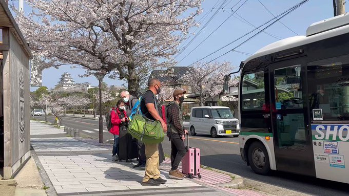 【満開桜のバス停🌸】外国人のお客様が「beautiful‼️」と感嘆しておりました✨#ユーリオンアイス #yoi #佐賀