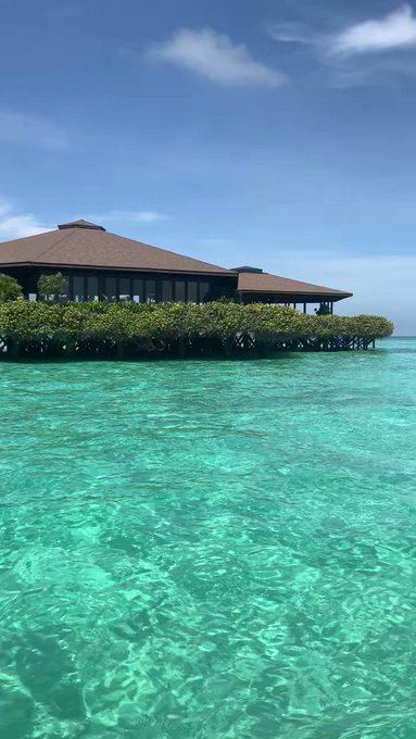 「神様の水族館」シパダン島"God's Aquarium" Sipadan Island#Malaysia #sipad 「神様の水族館」シパダン島"God's Aquarium" Sipadan Island#Malaysia #sipad