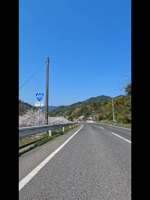 今の季節は五箇地区は桜がたくさん見れます。#隠岐 #離島 #風景 #桜のある風景 #チェリーロード #桜 #道端 #生活 今の季節は五箇地区は桜がたくさん見れます。#隠岐 #離島 #風景 #桜のある風景 #チェリーロード #桜 #道端 #生活
