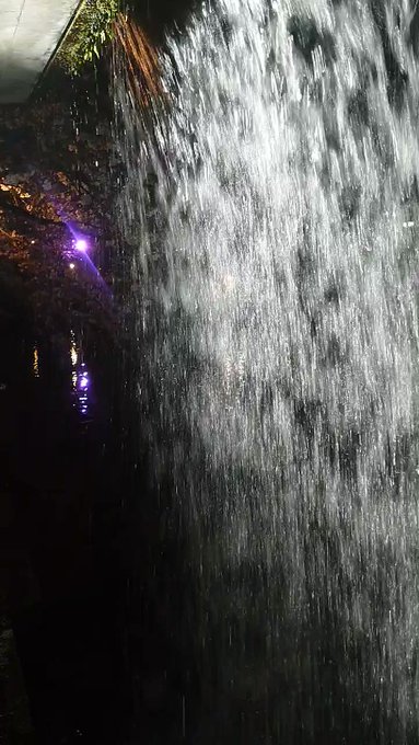 聲の形聖地巡礼滝のトンネル３／２４岐阜県大垣市四季の広場滝のトンネルヘ聲の形の聖地として有名ですね。遠くには桜が#聲の形