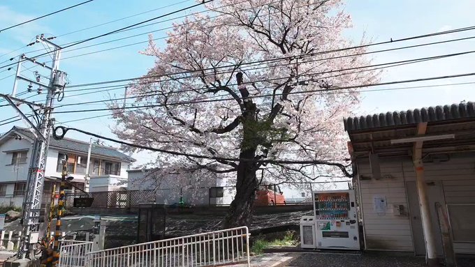 めっちゃ綺麗!ほぼ毎年来てるけど天気も晴れてて過去一綺麗な景色かもしれない!!#chu2koi めっちゃ綺麗!ほぼ毎年来てるけど天気も晴れてて過去一綺麗な景色かもしれない!!#chu2koi
