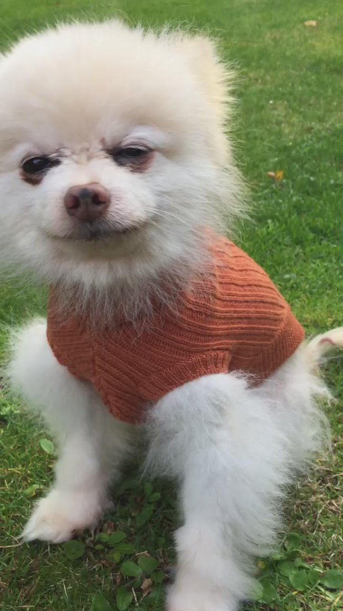 New coat. Very LFW!☺️ http://t.co/Fpyk7kqbHE