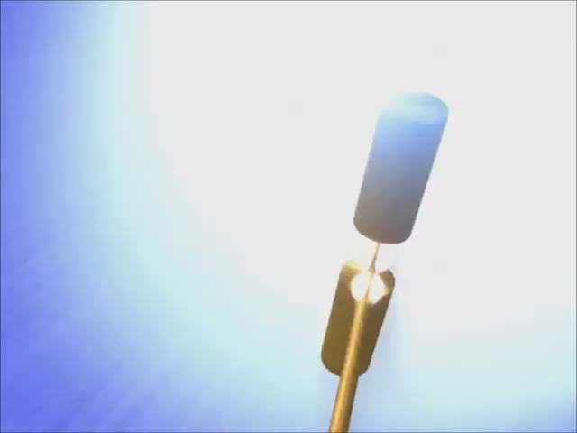 C朝凪のアクアノーツ(Fizz)人魚(セイレン)であるメインヒロイン・深緒を中心にしたドタバタ学園ラブコメディ! 要素: C朝凪のアクアノーツ(Fizz)人魚(セイレン)であるメインヒロイン・深緒を中心にしたドタバタ学園ラブコメディ! 要素: