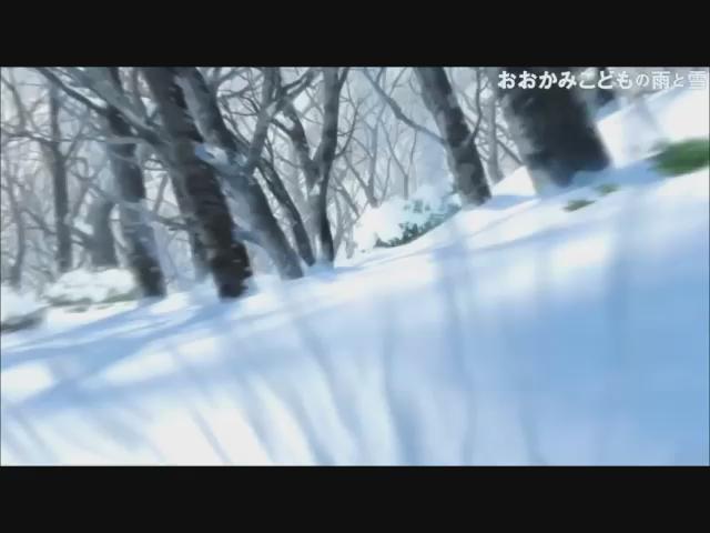 「人間とおおかみ」の二つの顔を持つ“おおかみこども”の母となった女性と子供達の成長と絆を描く 「人間とおおかみ」の二つの顔を持つ“おおかみこども”の母となった女性と子供達の成長と絆を描く