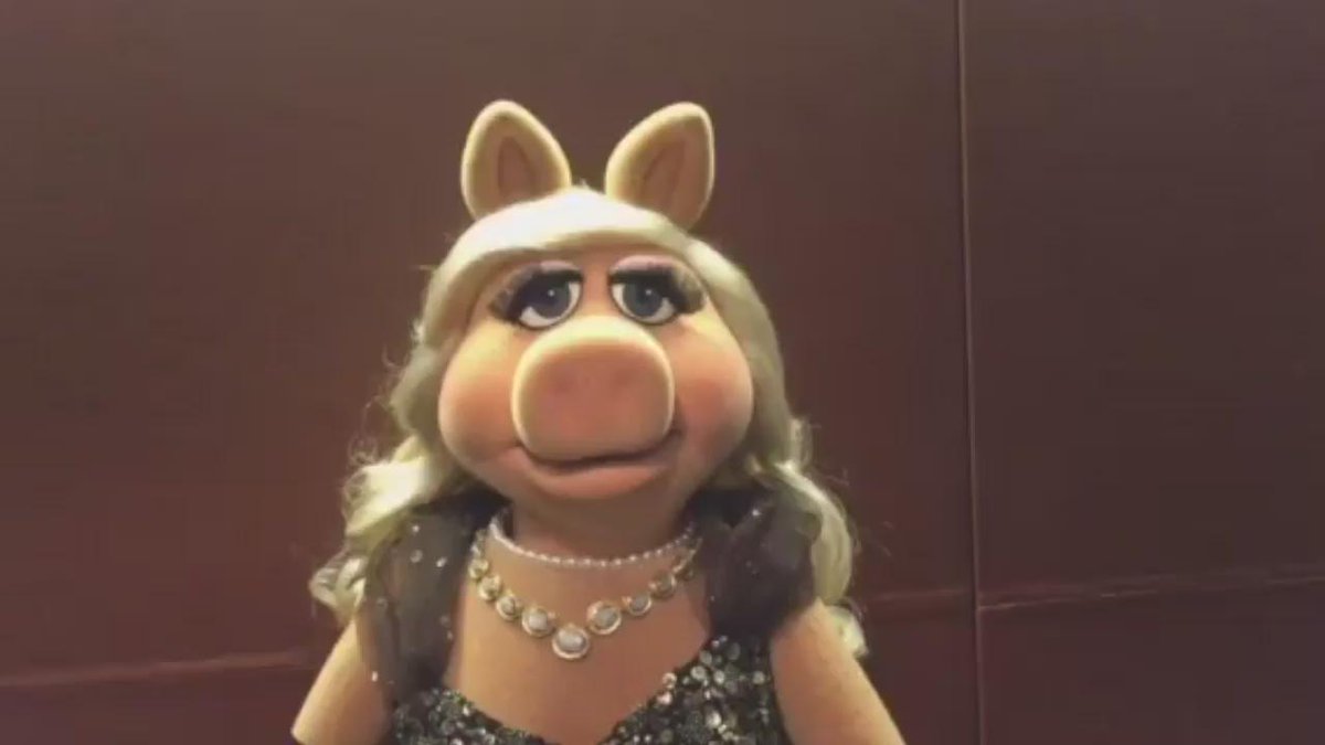 RT @MissPiggy: Moi is going to @TheNationalTree ceremony for @GoParks! Don’t worry, my shoes will match the @WhiteHouse. #NCTL2015 https://…