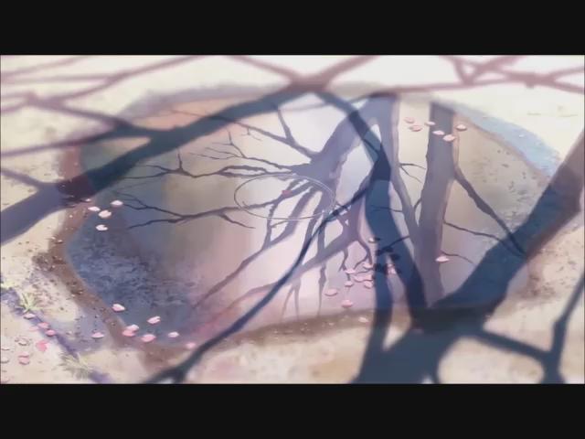 秒速5センチメートル(コミックス・ウェーブ)静謐で淡く囁きかけるような映像。思い出をのぞき込むようなささやかな世界。東京 秒速5センチメートル(コミックス・ウェーブ)静謐で淡く囁きかけるような映像。思い出をのぞき込むようなささやかな世界。東京