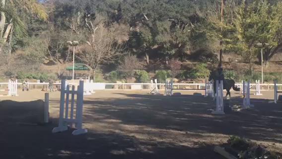 Heres some videos of me practicing some cross country type obstacles (i was kinda scared of the log) https://t.co/wrPix9au8a