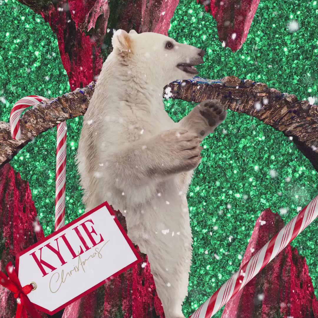 I can't believe Christmas is almost here. Thank you to all the #Lovers for making #KylieChristmas so much fun ???? https://t.co/nC58RZnX8m